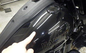 HARLEY FXLRST1920 2024