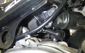 HONDA ZOOMER AF58