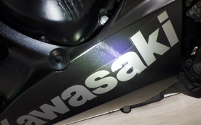 KAWASAKI NINJA 1000 A 2020 ZXT00W