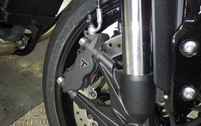 TRIUMPH SPEED TWIN 2026