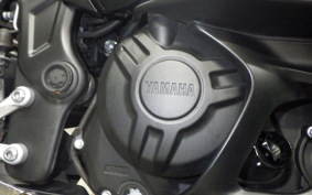 YAMAHA YZF R-3 2021 RH13J