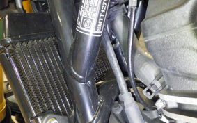 TRIUMPH SPEED 400 2024