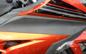 KAWASAKI NINJA 250 EX250L