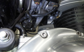 KAWASAKI W800 2022 EJ800E