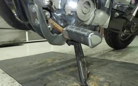 YAMAHA VIRAGO 250 3DM