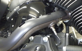 HARLEY FXLRST1920 2024