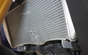 YAMAHA YZF-R25 A RG95J