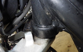 YAMAHA XJR1300 1998 RP01J