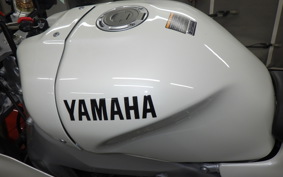 YAMAHA XSR900 GP 2024 RN96J