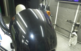HARLEY XL1200NS 2018