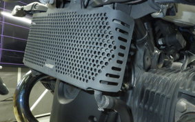 BMW R NINE T SCRAMBLER 2021