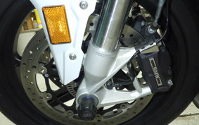 BMW S1000R 2021