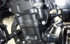 HONDA REBEL 250 2020 MC49