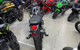 TRIUMPH STREET TWIN 2021 DAD74G