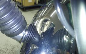 KAWASAKI W800 2022 EJ800E
