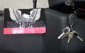 HARLEY FXLRST1920 2024
