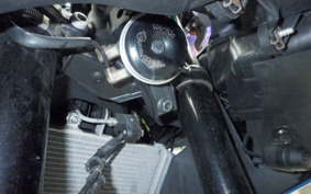 YAMAHA YZF R-3 2022 RH13J