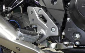 SUZUKI GSX250RA 2007