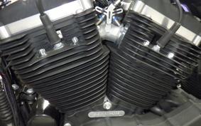 HARLEY XL883N 2015