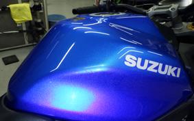 SUZUKI GSX-S 1000 Gen.2 2021 EK1AA