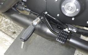 HARLEY XL883N 2015