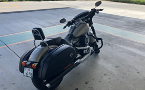 HARLEY FLSB 2019 YMJ