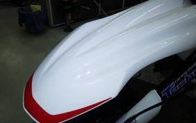 YAMAHA WR250X DG15J