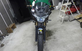 HONDA VTRF250 2007 MC33