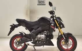 KAWASAKI Z125 PRO BR125H