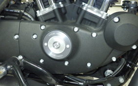 HARLEY XL883N 2016