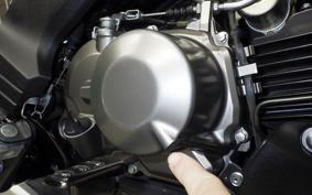 KAWASAKI Z125 PRO BR125H