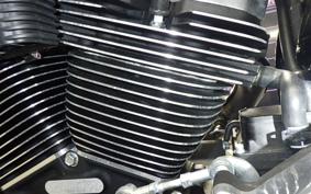 HARLEY FXBB1920 2025
