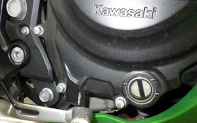 KAWASAKI NINJA 400 2024 EX400L
