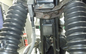 KAWASAKI W650 2010 EJ650A