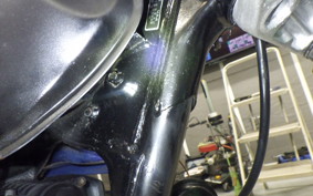 YAMAHA TW200 2021 2JL