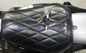 HARLEY XL1200NS 2020