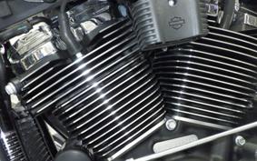 HARLEY FXBR1920 2024