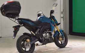KAWASAKI Z125 PRO