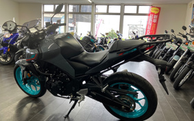 YAMAHA MT-25 RG74J