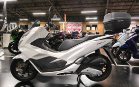HONDA PCX 125 JF81