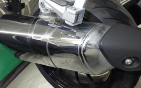 BMW R1250R 2024