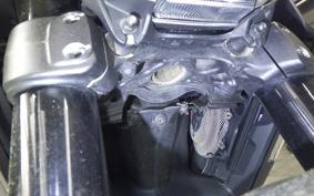DUCATI DIAVEL Carbon 2017