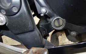 KAWASAKI NINJA 250 ABS 2024 EX250L