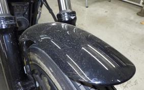 HARLEY XL1200NS 2020
