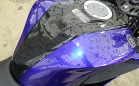 YAMAHA YZF-R15