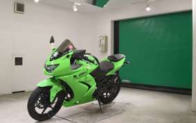 KAWASAKI NINJA 250R 2010 EX250K