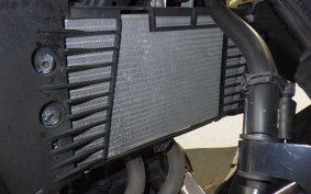 YAMAHA MT-25 RG10J