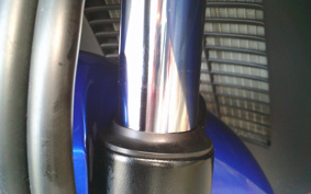 SUZUKI  SKY WAVE 250TYPES CJ43A