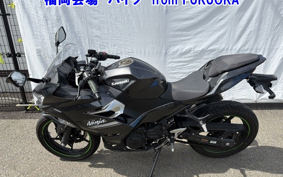 OTHER NINJA 250-2