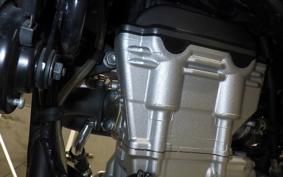 YAMAHA WR250X DG15J